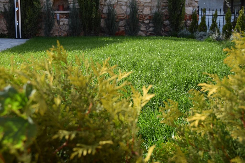 Boutique Villa Rosa Dei Venti บัลชิค ภายนอก รูปภาพ